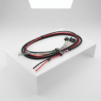 Kustomisasi Berbagai Kabel Harness Elektronik PVC dengan Inti Tembaga-TUV untuk Konektor Molex/JST ISO9001