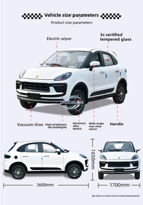 Voiture électrique miniature haute puissance 2000W 5000W, véhicule SUV personnalisé - Product Image 6