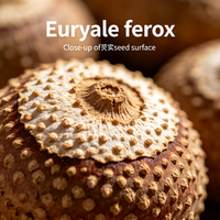 Noyau de Gorgone Séché Naturel (Euryales Semen) – Matière Première Végétale pour Complément Alimentaire, Extrait Cosmétique et Graine Comestible