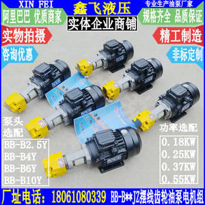Composant de moteur de pompe à huile à engrenages cycloïdaux BB-B2.5YJZ B4YJZ B6YJZ B10YJZ 0,25 kW pour pompes hydrauliques - Product Image 1