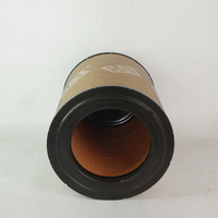 Nouvel élément de filtre à air pour moteur diesel C15 C18 106-3969 d'origine 1063969 pour excavatrice CAT 345D 385C