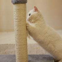 Griffoir pour chat pliable écologique en sisal et bois avec structure d'escalade et arbre à chat