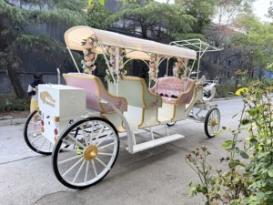 Carroza de Cenicienta Personalizada con Diseño Floral, Vehículo Eléctrico de Lujo de Cuatro Ruedas para Turismo, Fabricante de Transporte Especializado - Product Image 5