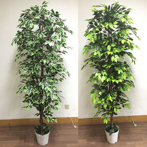 ต้นไทร/เบนจามินประดิษฐ์ราคาประหยัดสำหรับตกแต่ง - Product Image 2