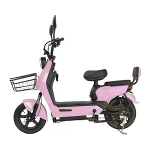 OEM/ODM Vélo électrique <span class=keywords><strong>cargo</strong></span> 2 places nouveau modèle de vélo électrique 350W 48V batterie cadres kit vintage avec OEM/ODM - Product Image 2