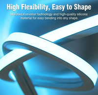 Bande lumineuse LED néon flexible en silicone à éclairage frontal 1010, DC 24V, IP67, bleu glace, pour usage intérieur et extérieur