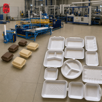 Machine de thermoformage sous vide automatique pour la production de boîtes alimentaires en mousse PS, contenants alimentaires jetables à emporter