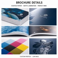 Brochure de profil d'entreprise OEM, impression A4, reliure collée, plastification, 20 pages, service de correction personnalisé, faible MOQ, livrets