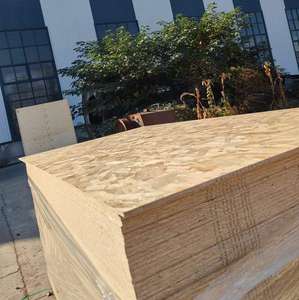 Linyi 1/2 \ "X 4 'x 8' Impermeable <span class=keywords><strong>OSB</strong></span> 3-18mm de <span class=keywords><strong>espesor</strong></span> Tablero de revestimiento de <span class=keywords><strong>techo</strong></span> de madera de álamo <span class=keywords><strong>para</strong></span> la construcción Producto de tablero de escamas - Product Image 4
