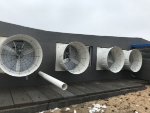 Pig <b>Farm</b> Poultry <b>Farm</b> Energy-efficient 51" Ventilation Fan - Product Image 5