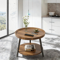 Table d'appoint en fer durable pour salon, avec rangement, design moderne, multifonctionnelle, portable