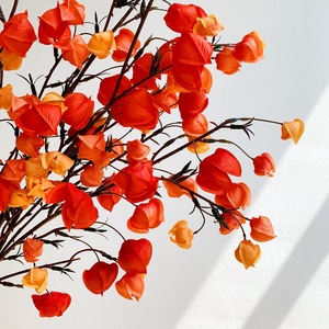 Flores Artificiales Muyu Chronicles, Ramas Individuales de Frutos Rojos de Seda, Decoración para el Hogar de Año Nuevo - Product Image 4