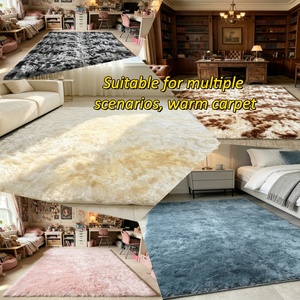 Tapis de sol en velours shaggy nordique minimaliste, tapis moelleux et doux pour chambre à coucher, salon, balcon, intérieur, siège de voiture - Product Image 3