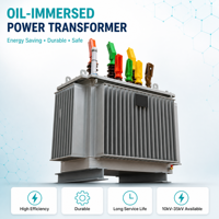 Transformateur de distribution triphasé immergé dans l'huile 1250 kVA 33/0,4 kV pour centre de données