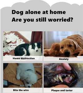 Confezione di <span class=keywords><strong>agnello</strong></span> 10/8/7 giocattoli per <span class=keywords><strong>cani</strong></span> striduli e giocattoli da masticare in peluche e corda per <span class=keywords><strong>cani</strong></span>, graziosi accessori per animali domestici per cuccioli - Product Image 5