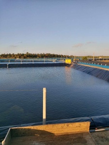 Nhà Máy Bán buôn màng đất lót cho cô lập geombarne <span class=keywords><strong>4mm</strong></span> <span class=keywords><strong>HDPE</strong></span> màng đất ao lót <span class=keywords><strong>geomembrane</strong></span> giá - Product Image 4