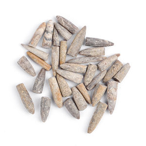 Fossiles de Belemnite Jurassique-Crétacé Authentique Spécimens de Cristal Feng Shui de Haute Préservation pour la Paléontologie - Product Image 1