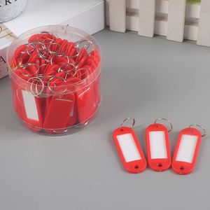 Plastic Mini Category Tag <b>Key</b> Collection for Motel Hotel Keychain - Product Image 5