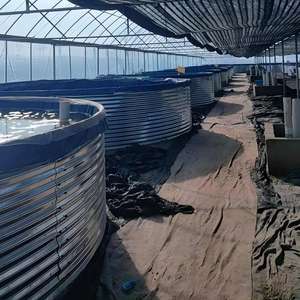 Bassin à poissons rond en PVC à structure flexible, nouveau réservoir d'élevage en tôle galvanisée, mobile, marque YUNMA, taille personnalisée de 5m à 1000m - Product Image 3