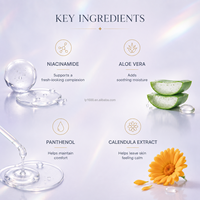 Nettoyant visage à la niacinamide et aux acides aminés, disponible en ODM, nettoyage en profondeur, sans sulfate, gel nettoyant hydratant doux pour tous les jours, adapté aux peaux sensibles/sèches