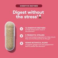 Fabricant OEM – Enzymes digestives à double action avec prébiotiques et probiotiques en capsules – Soutien à la santé intestinale – 60 unités