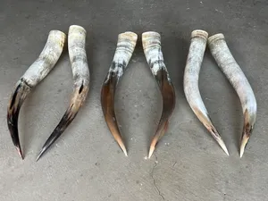 สัตว์ทะเลยาวขัดมันด้วยมือของแท้เป็นมิตรกับสิ่งแวดล้อมสำหรับตกแต่งบ้านของขวัญแต่งงานไม่เหมือนใครลวดลายธรรมชาติที่เป็นเอกลักษณ์ - Product Image 2