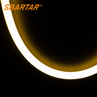 Ruban LED néon rond 360° DC 12V 24V flexible, bande néon 22 mm, tube en silicone, lumière IP67