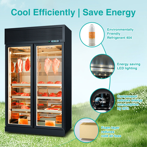 Gabinete Comercial de Enfriamiento Directo de Acero Inoxidable para Maduración en Seco de Carne y Esmaltado de Carne Húmeda con Pantalla de Temperatura <span class=keywords><strong>Constante</strong></span> - Product Image 3