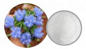 Hooggekwalificeerde Springjia Cyanotis Arachnoidea Extract Ecdysteron 95 Beta Ecdysteron Cyanotis <span class=keywords><strong>Vega</strong></span> Extract - Product Image 2