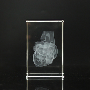 Cubo di Cristallo con Modello Umano a Cuore Inciso al Laser 3D, per Regali e Souvenir Didattici Ospedalieri - Product Image 6