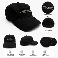 Casquette de baseball vintage délavée et vieillie, brodée minimaliste, respirante et imperméable, idéale pour les activités sportives et les voyages – Offre Spéciale