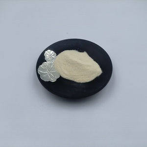 Enzimas Digestivas en Polvo a Granel de Venta Caliente, Suplementos OEM Bio Enzimas Digestivas - Product Image 4