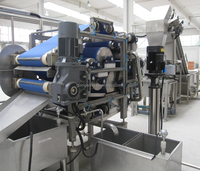 Goede Prijs Automatische Mango Sap Fabriek Lijn Auto Industriële Verse Mango Sap Maken Fabriek Verwerkingsmachines Te Koop