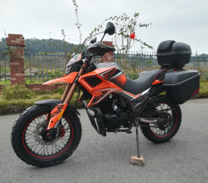 FUEGO <strong>TEKKEN</strong> 250 Cheap for Sale <strong>250cc</strong> All Terrain <strong>Motorcycle</strong> 11190155 - Product Image 5