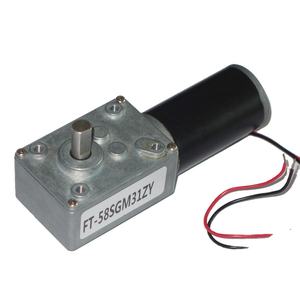 FT-58SGM31ZY 중국 푸텍 모터 저소음 브러시 DC 웜 기어 모터 24V/12V 소형 영구자석 구조 가전제품용 - Product Image 1