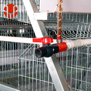 <span class=keywords><strong>Codorniz</strong></span> pato o pollo huevo casa diseño puesta gallina pollo jaula estructura de acero avícola granja casa diseño prefabricado granja de pollos - Product Image 5