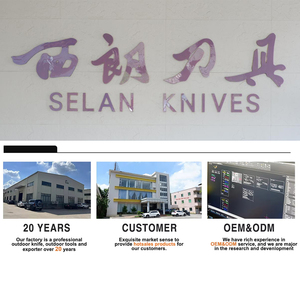 SELAN 鱼片刀，超锋利不锈钢剔骨刀，鱼片刀可更换刀片 CT830 - Product Image 6