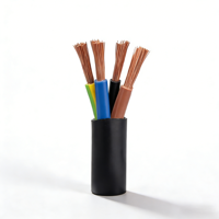 Kabel Fleksibel RVV Multi-core Berisolasi PVC Kabel Listrik 2/3/4/5 Inti untuk Peralatan Rumah Tangga