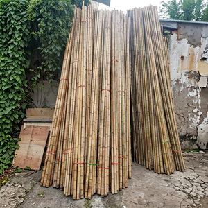 cheap price-Strong Bamboo <b>Poles</b> <b>for</b> Farming <b>Garden</b> Big Round Bamboo <b>Poles</b> Wholesale Best Price Bamboo <b>Pole</b> From Vietnam - Product Image 1