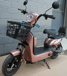 Vélos électriques 16 pouces de qualité supérieure pour le transport de passagers, vente directe de l'usine, idéaux pour les longues distances - Product Image 3