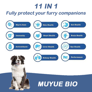 Glucosamine pour chiens, complément pour les hanches et les articulations, 120 comprimés à mâcher pour chiens avec chondroïtine et MSM, complément pour l'arthrite pour animaux de compagnie - Product Image 4