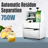 Presse à gingembre commerciale industrielle en acier inoxydable Extraction de jus de gingembre