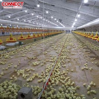 Système d'élevage automatique de poulets de chair en gros, équipement d'élevage au sol pour fermes avicoles commerciales