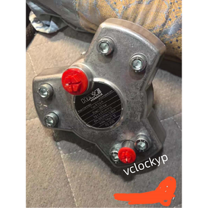 Bomba de Pistones Radiales HAWE R5.6A Nueva, Envío por FedEx o DHL - Product Image 3