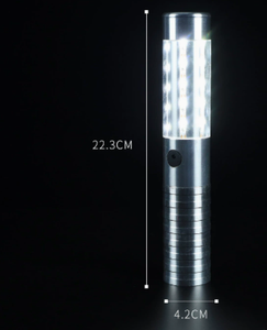 Boyid <span class=keywords><strong>GreenLux</strong></span> LED DC, Luces Decorativas para Botellas de Exterior con Carcasa Plateada, Recargables, 6000K Luz Diurna, Clasificación IP20 - Product Image 3