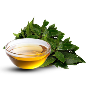 Aceite Esencial de Hoja de Laurel 100% Puro, Destilado al Vapor Natural, Aromático y Herbal - Para Cosméticos y Mezclas de Aromaterapia - Product Image 1
