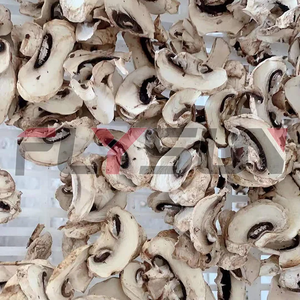 Horno de Secado de Hongos Shiitake con Bomba de Calor Eléctrica Automática de Ahorro de Energía SUS316L - Product Image 4