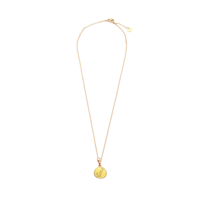 Collana con Ciondolo Zodiacale Angelina, Placcata in Oro, Catena a Serpente in Acciaio Inossidabile, Gioiello Minimalista da Donna per Uso Quotidiano, Regalo - Product Image 1