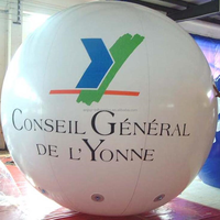Ballon publicitaire gonflable en PVC à l'hélium - Ballons publicitaires de grande taille, légers, durables et imperméables, tailles personnalisables