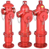 Système de protection incendie bidirectionnel à colonne d'incendie à double sortie de type humide en fonte ductile